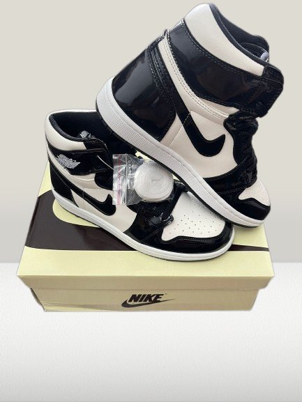 Detail shot of Jordan 1 ALL - STAR Shoes