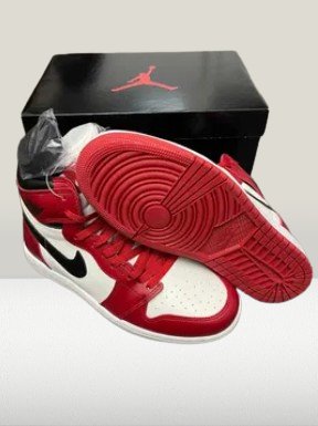 Backside view of Jordan 1 Chicago