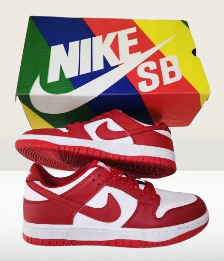 Nike dunk panda low shoes