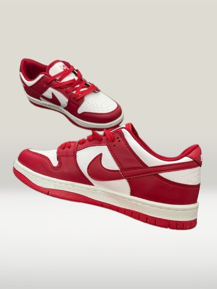 Stylist Nike Dunk Panda Shoes