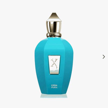Xerjoff Erba Pura [60% OFF] - ShoeResidenceXerjoff Erba Pura [60% OFF]100mlgood girlparfum 1:1Parfum tom ford1